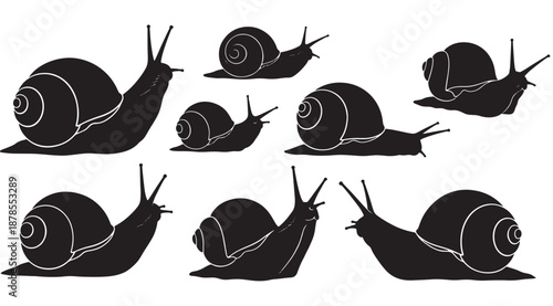 Set of Snail Silhouettes and Stylized Garden Illustrations; Slow-Moving Land Gastropods in Various Poses and Shell Shapes Isolated on White Background for Nature and Slow Living Concepts