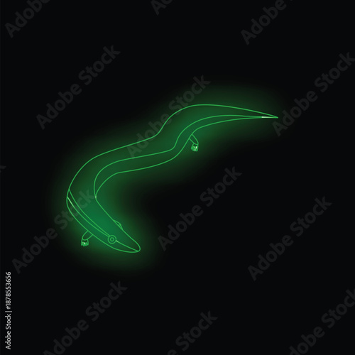 Green neon light showing amphibian salamander curving on black background