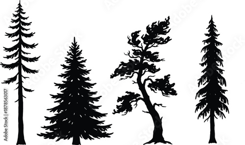 Black pine tree silhouettes, minimalist evergreen forest nature graphics, wild wood landscape design elements, coniferous atmospheric wood vector, organic environment symbols.