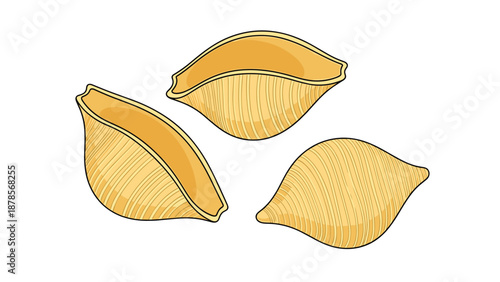 Three conchiglie shell shaped pasta pieces illustrated with fine texture lines for use in mediterranean recipe and cooking layouts.