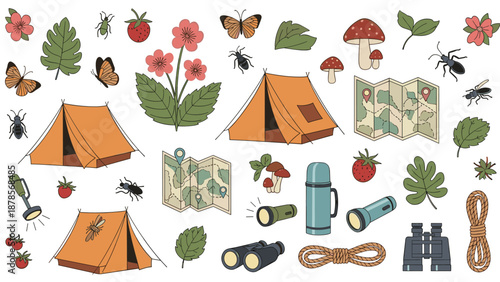 Collection of camping scene elements including tents, maps, binoculars, thermoses, berries, and forest insects for adventure planning.