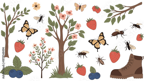 Nature illustration featuring trees, flowers, strawberries, blueberries, butterflies, insects, and a hiking boot for outdoor themes.