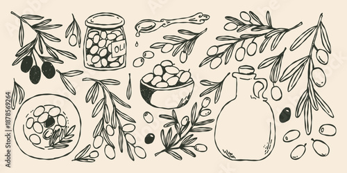 Whimsical set of olives on a branch, plate with olives, olives in a jar, olive oil, branches with plant leaves. Hand drawn doodle line illustration.