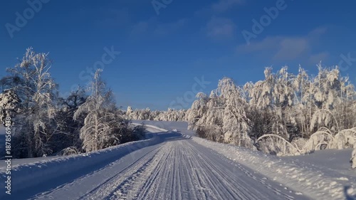 A snow-covered rural road. A snow-white landscape and frost-covered trees along the road. A peaceful snow-white road lined with frost-covered trees in a quiet rural landscape.