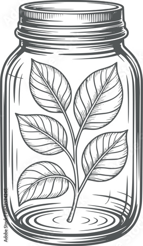 A detailed of a glass jar with a plant inside leaves