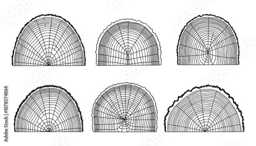 Vector set of tree rings cross section illustrations