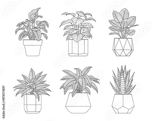 Vector set of potted house plants line art illustrations