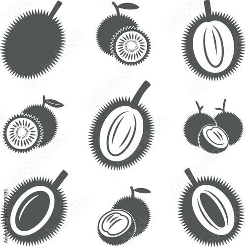 Eight Dark and of Durian Fruits in Various Stages of Openness spiky