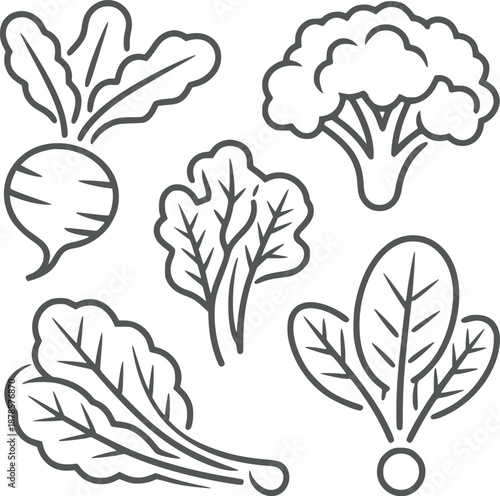 Six Different Types of Leafy Green Vegetables in Line Style greens beets