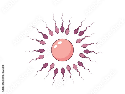 Illustration of multiple sperm surrounding a single ovum set against a white background