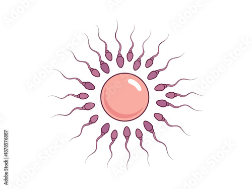 Illustration of sperm surrounding a central egg cell