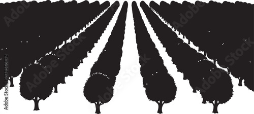 Silhouette of trees in rows on white background illustration