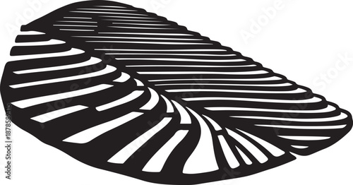 Black and white striped pattern on a oval shape