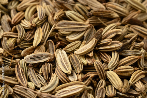 Macro View of Aromatic Fennel Seeds