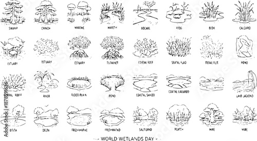 Diverse Wetland Ecosystems Illustrated in Black and White Line Art for Environmental Education