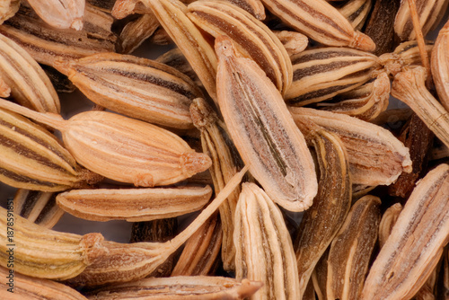 Macro View of Aromatic Fennel Seeds
