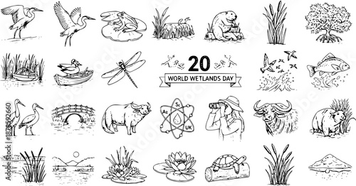 World Wetlands Day vector icons: birds, animals, plants, bridge, and scientific symbols in line art style