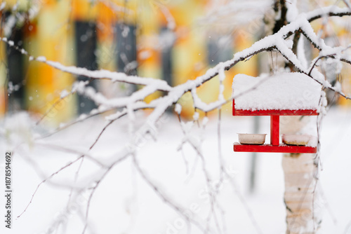 Wallpaper Mural Red bird feeder hangs from a branch in a winter park. It's a snowy winter day. Helping the birds Torontodigital.ca