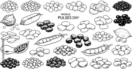 Black and White Line Art Illustration of Assorted Pulses and Legumes on White Background, World Pulses Day Theme