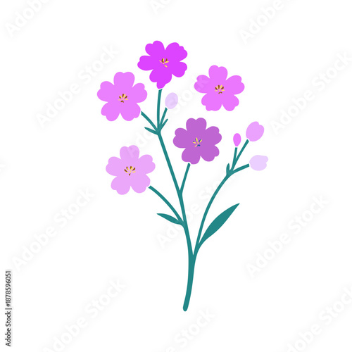 violet flower on a white background. Hand drawn. Not AI, vector illustration