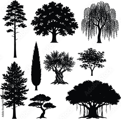 Collection of diverse tree silhouettes isolated on white background, botanical forest shapes for design, nature illustration set vector art elements