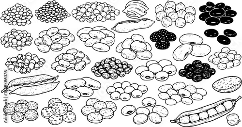 Black and White Line Art of Assorted Beans and Legumes, Healthy Food Ingredient Vector