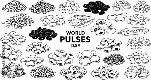 Black and White Line Art Illustration of Assorted Pulses and Legumes for World Pulses Day