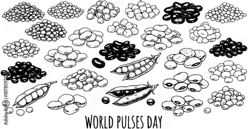Black and White Line Art of Assorted Pulses and Beans for World Pulses Day