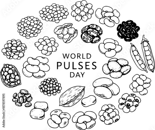 World Pulses Day illustration: line art collage of various beans, peas, lentils, chickpeas, fava beans and other legumes