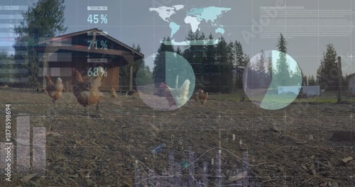 Farm data dashboard being animated over chicken run with six chickens in flat design, showing coop