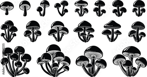 Mushroom silhouette vector set, black and white fungi icons collection, vintage woodcut style toadstools, botanical nature elements, magic forest organic vegetable illustrations, isolated