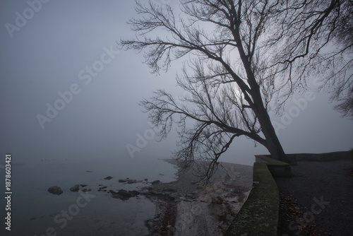 Bodensee, Nebel am Seeufer bei der Insel Mainau