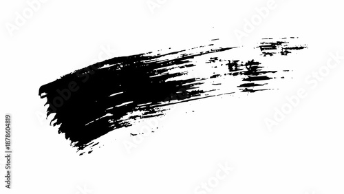 A grunge ink splat isolated on white. Black ink brush trace.