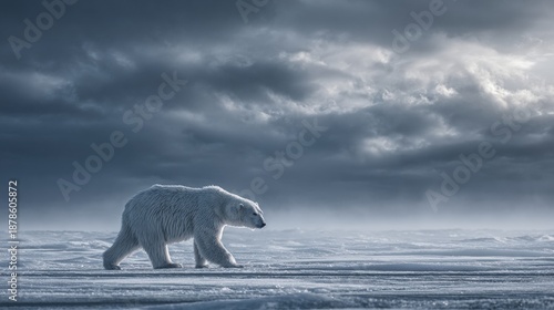 Wallpaper Mural Polar Bear Walking Across Icy Arctic Landscape Under Cloudy Sky Torontodigital.ca