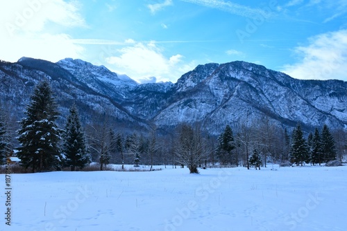 Fototapeta Snow covered field with trees and mountains in Julian alps in Gorenjska, Sloveni
