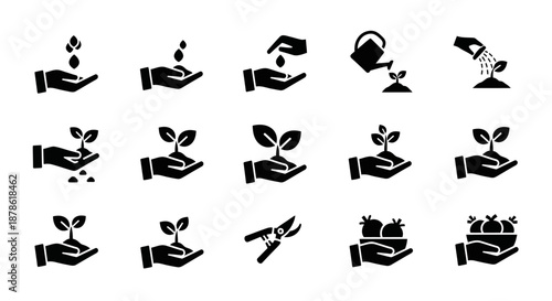 Hand Care Plant Seedling Growth Stages Icons.