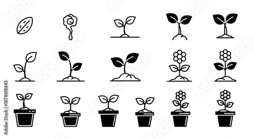 Simple Black and White Plant Illustrations.