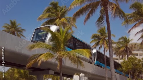 Elevated transit train moving across rails, under bright blue sky with palm trees