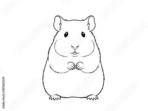 An illustration of a cute guinea pig