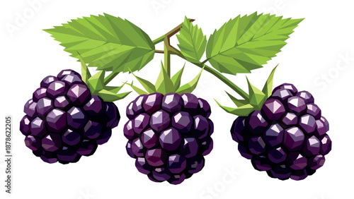 Realistic blackberry cluster with vibrant leaves on white background