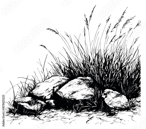 Line art illustration of rocks and grass depicting natural ground cover for landscape design