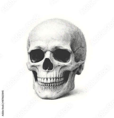Human Skull Halftone Illustration isolated on transparent background, Generative AI