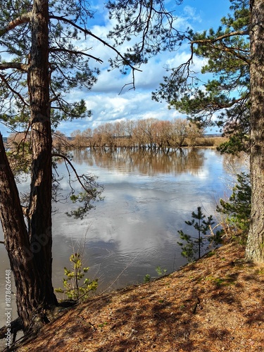 Spring landscape with forest, field and river.