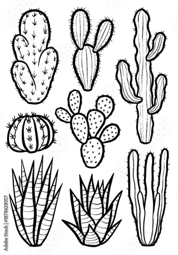 A collection of hand-drawn cacti and succulent plants in a black and white graphic vector illustration design featuring various botanical artwork elements
