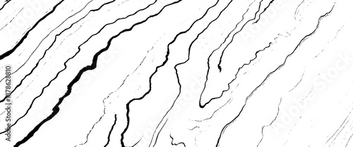 Vector wood grain texture dense lines white background