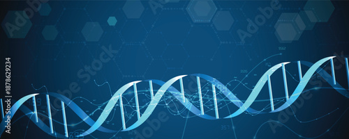 Futuristic molecule and genetic code, DNA strands, connected neural web