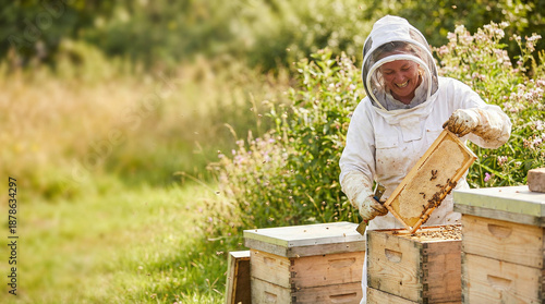 Female beekeeper inspecting bee hive and collecting honey outdoors  