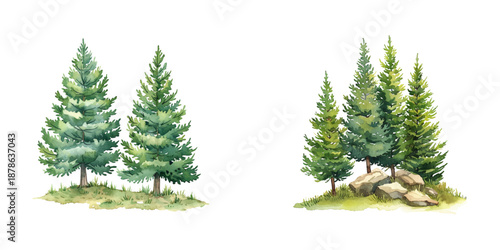 evergreen trees nature scene watercolor vector illustration