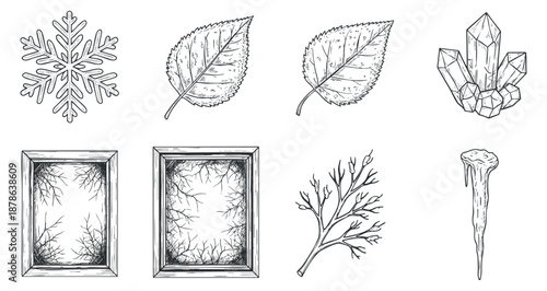 A collection of hand-drawn nature elements including snowflakes, leaves, frames, crystals, and branches in outline vector style, ideal for artistic projects and seasonal designs