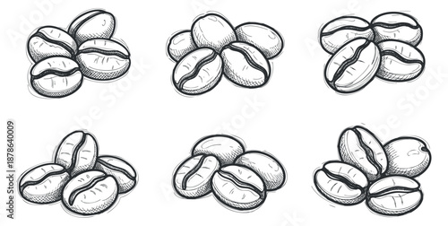 A collection of hand-drawn coffee beans in sketch style, ideal for coffee shop branding and packaging designs